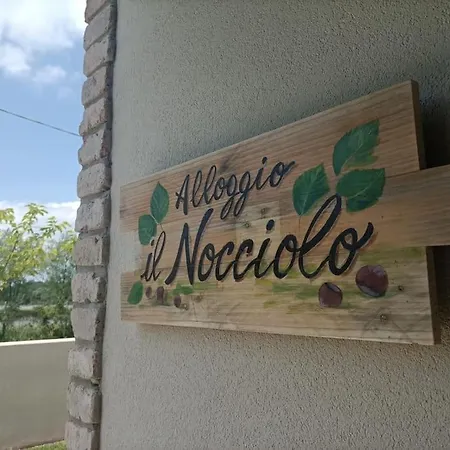 Il Nocciolo شقة *